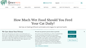 The Spruce Pets - Cat Feeding Guide