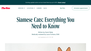 The Vets - Siamese Cat Care