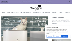 Petlibro - Dockstream Wireless Pump Water Fountain