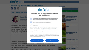 ThriftyFun - Essential Pet Care Tips