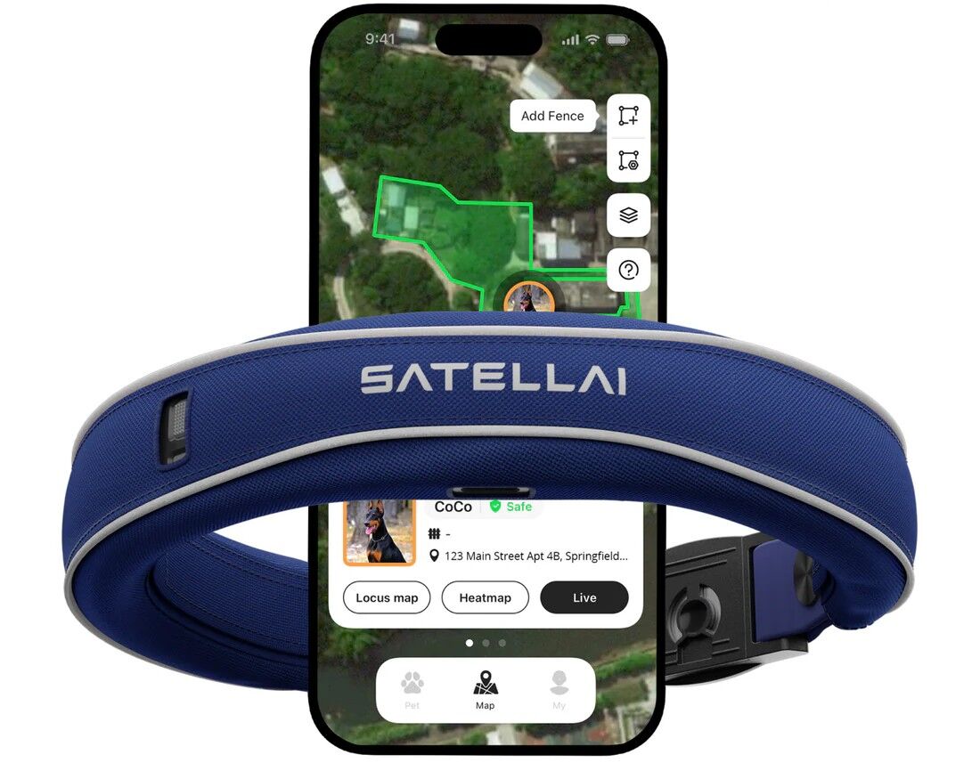 An application scenario or product detail of tile tracker for dog - Image 13