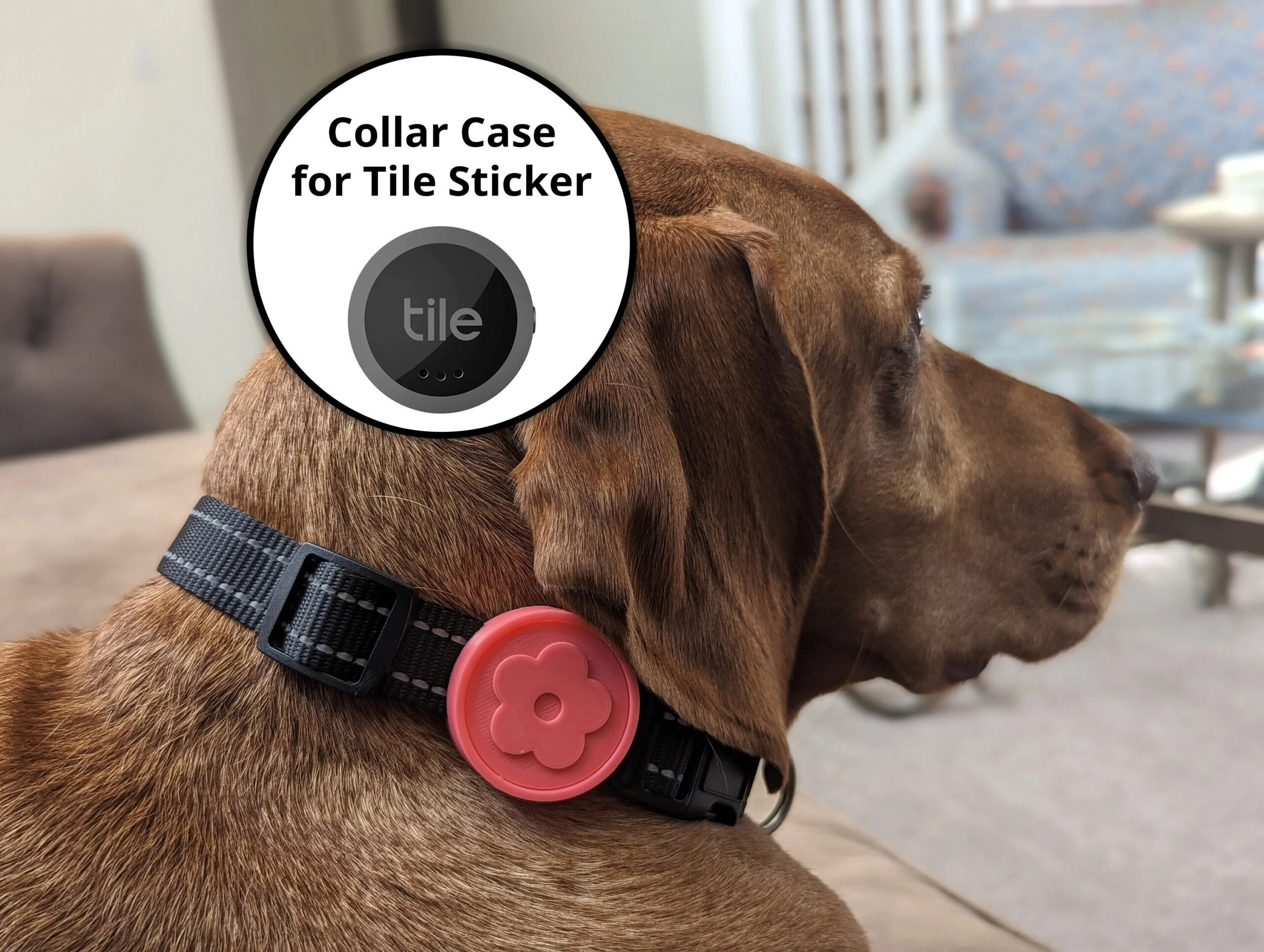 An application scenario or product detail of tile tracker for dog - Image 18