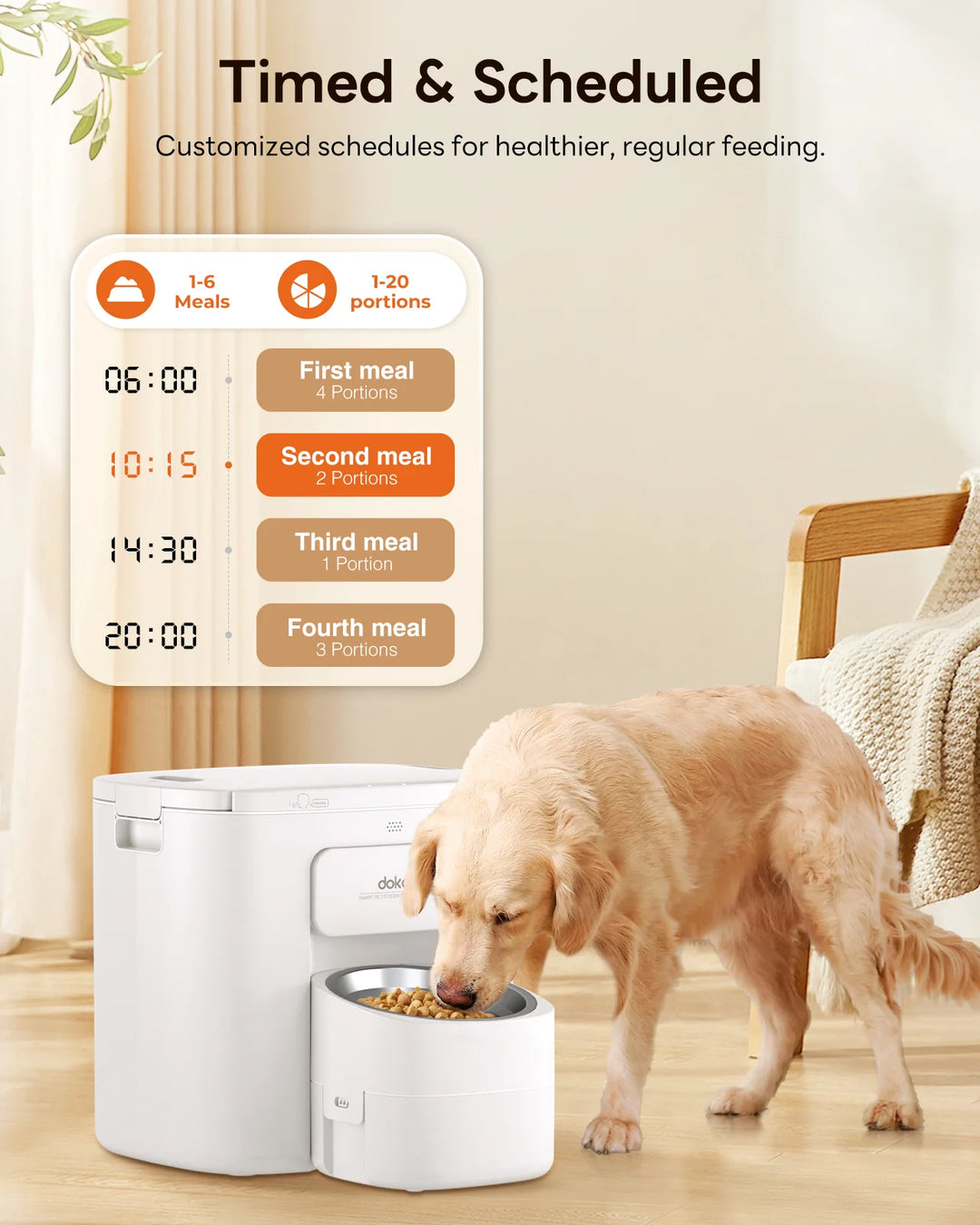An application scenario or product detail of time released dog feeder - Image 10