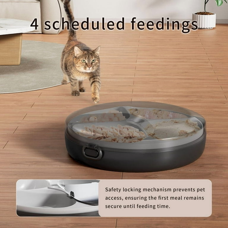 An application scenario or product detail of timed feeder for wet cat food - Image 16