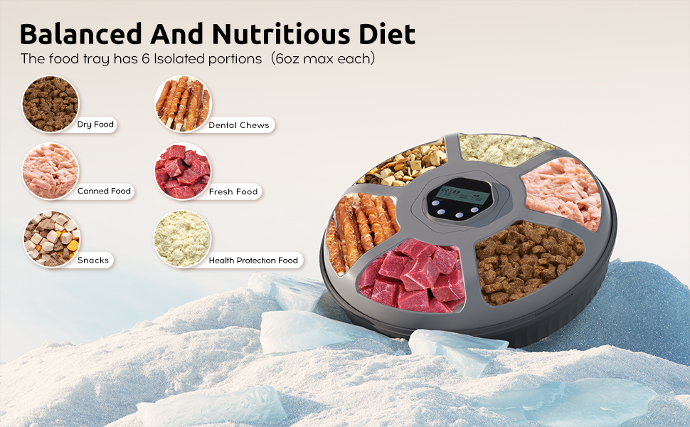 An application scenario or product detail of timed wet food feeder - Image 4