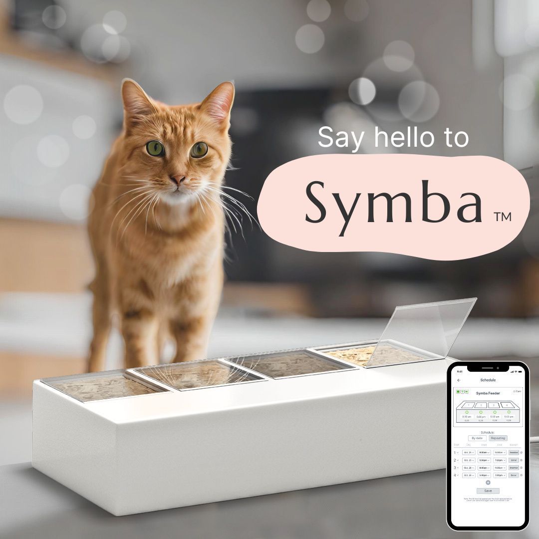 An application scenario or product detail of timed wet food feeder - Image 24