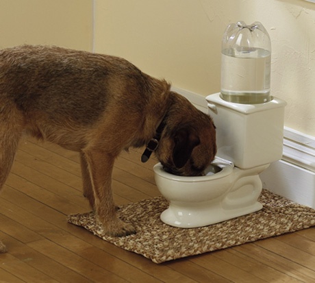 An application scenario or product detail of toilet water bowl for dogs - Image 9