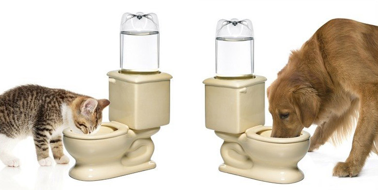 An application scenario or product detail of toilet water bowl for dogs - Image 13