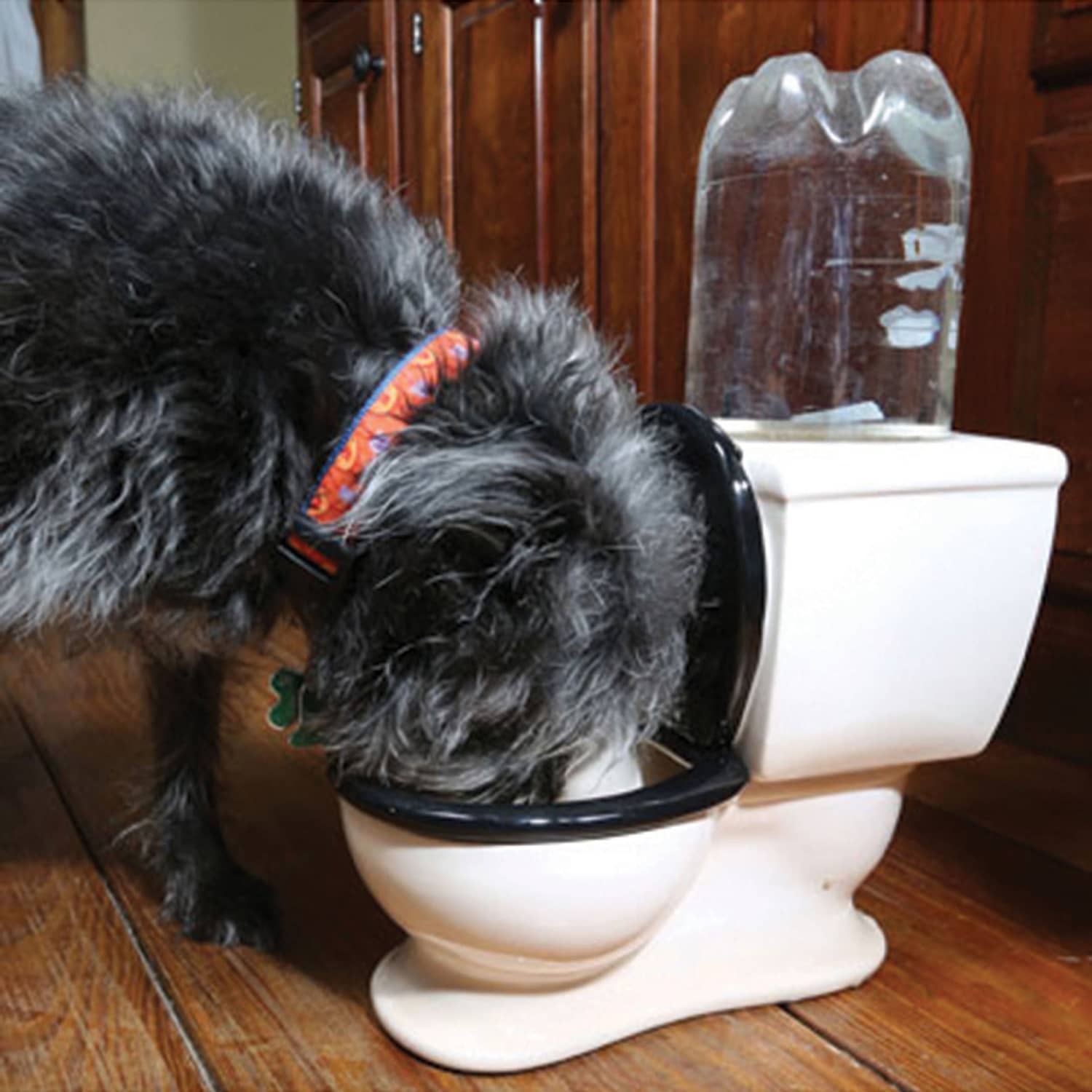 An application scenario or product detail of toilet water bowl for dogs - Image 15