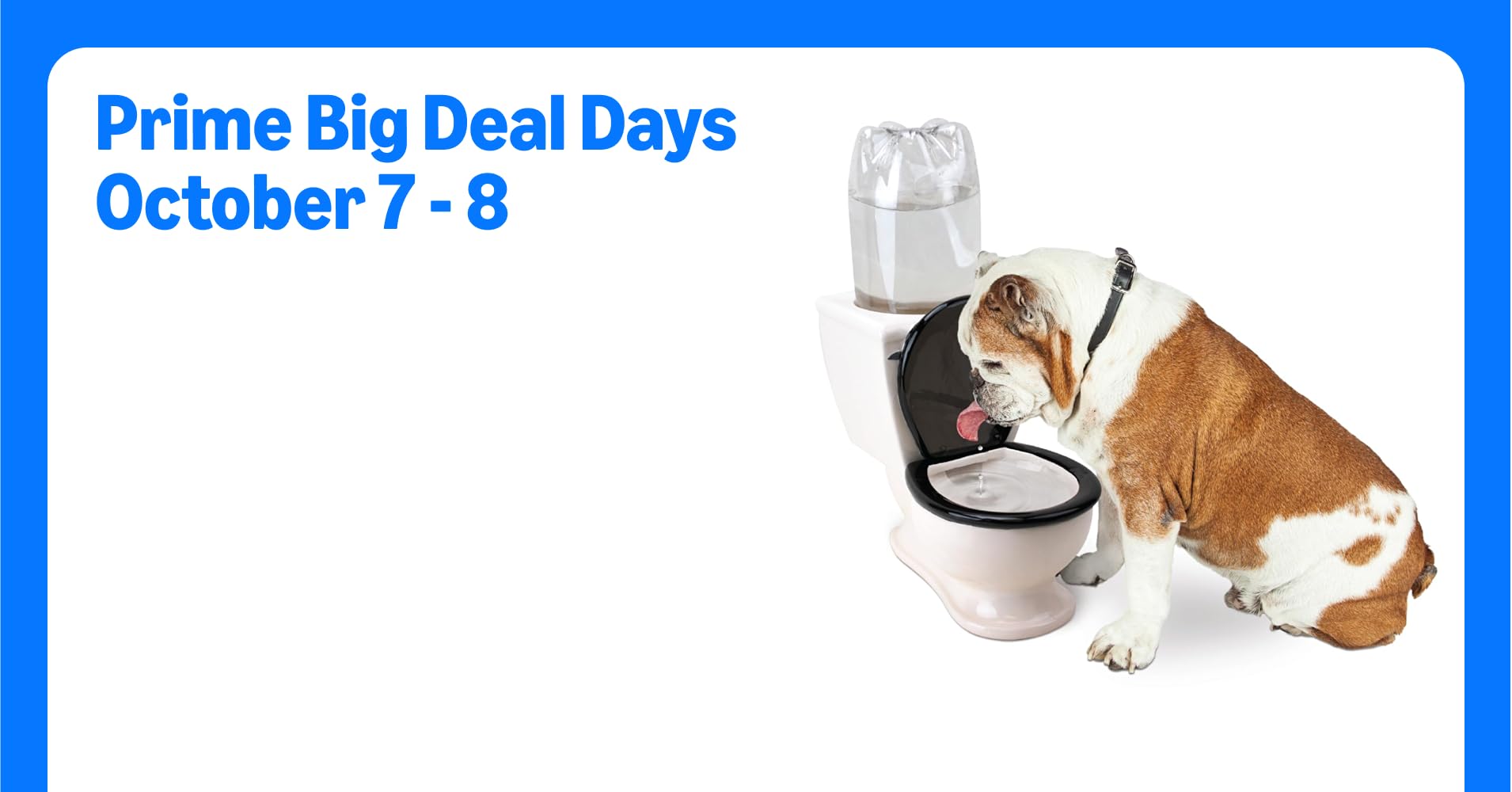 An application scenario or product detail of toilet water bowl for dogs - Image 16