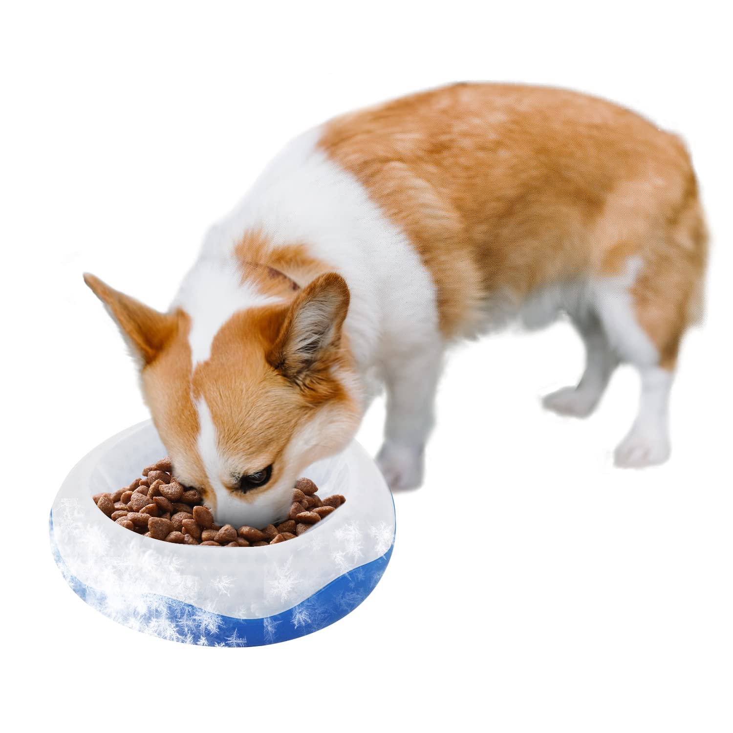 An application scenario or product detail of toilet water bowl for dogs - Image 17