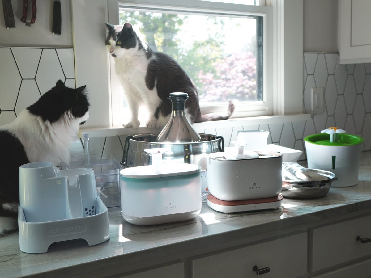 An application scenario or product detail of top rated cat water fountain - Image 16