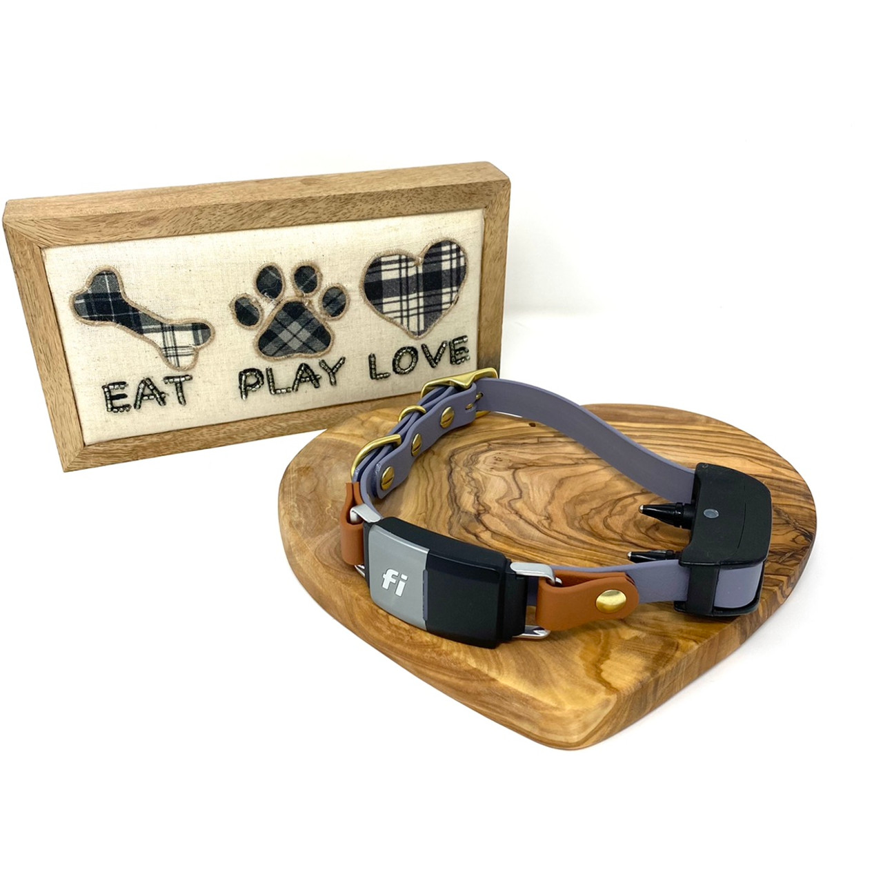 An application scenario or product detail of track and train dog collars - Image 4