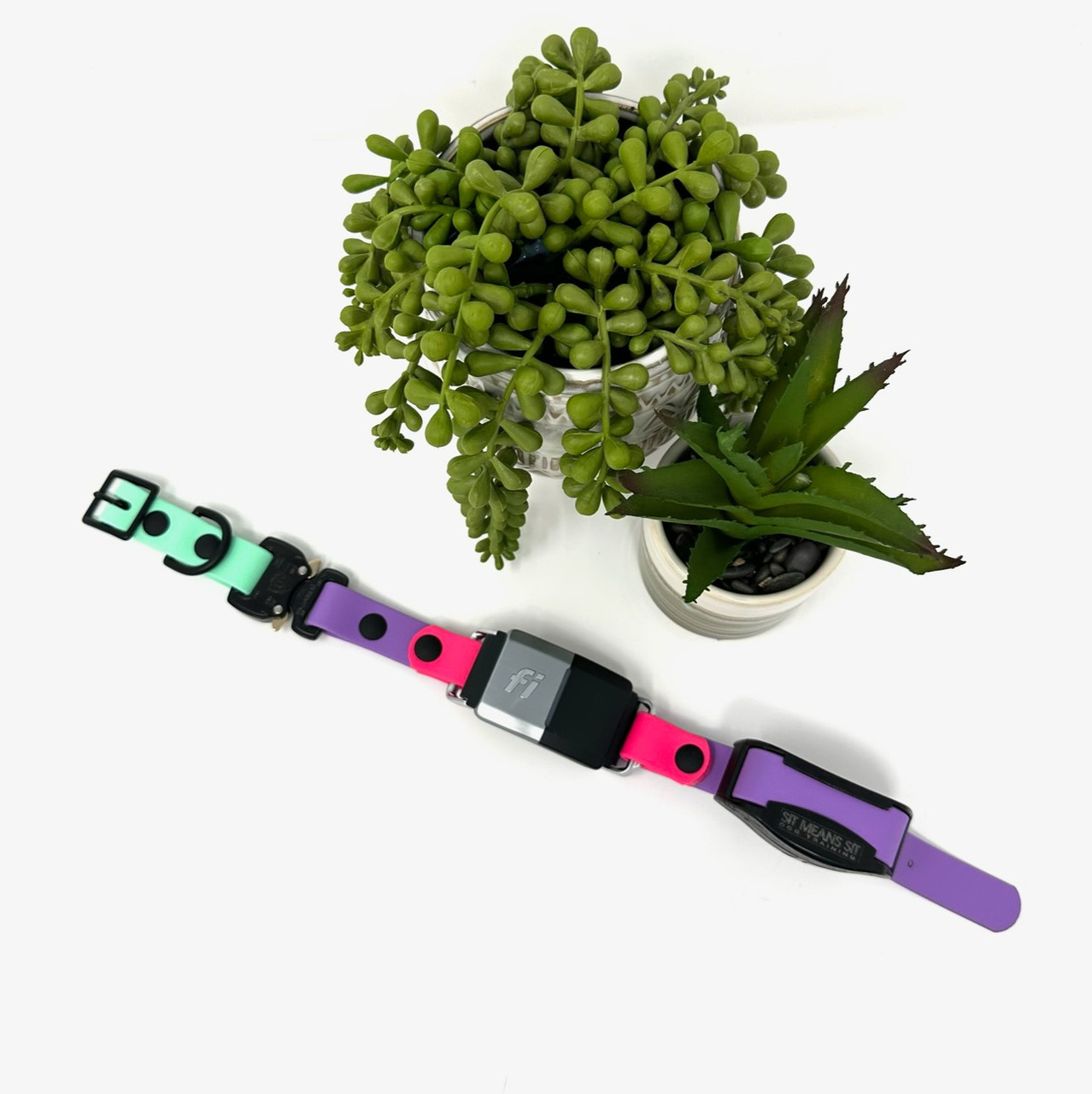 An application scenario or product detail of track and train dog collars - Image 8