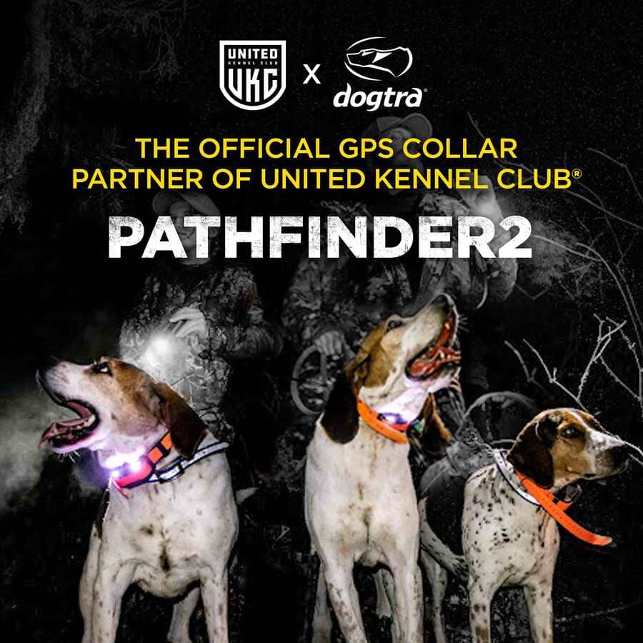 An application scenario or product detail of track and train dog collars - Image 12