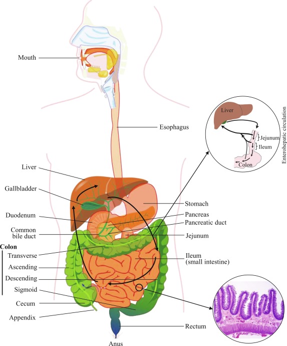 An application scenario or product detail of track or tract - Image 19