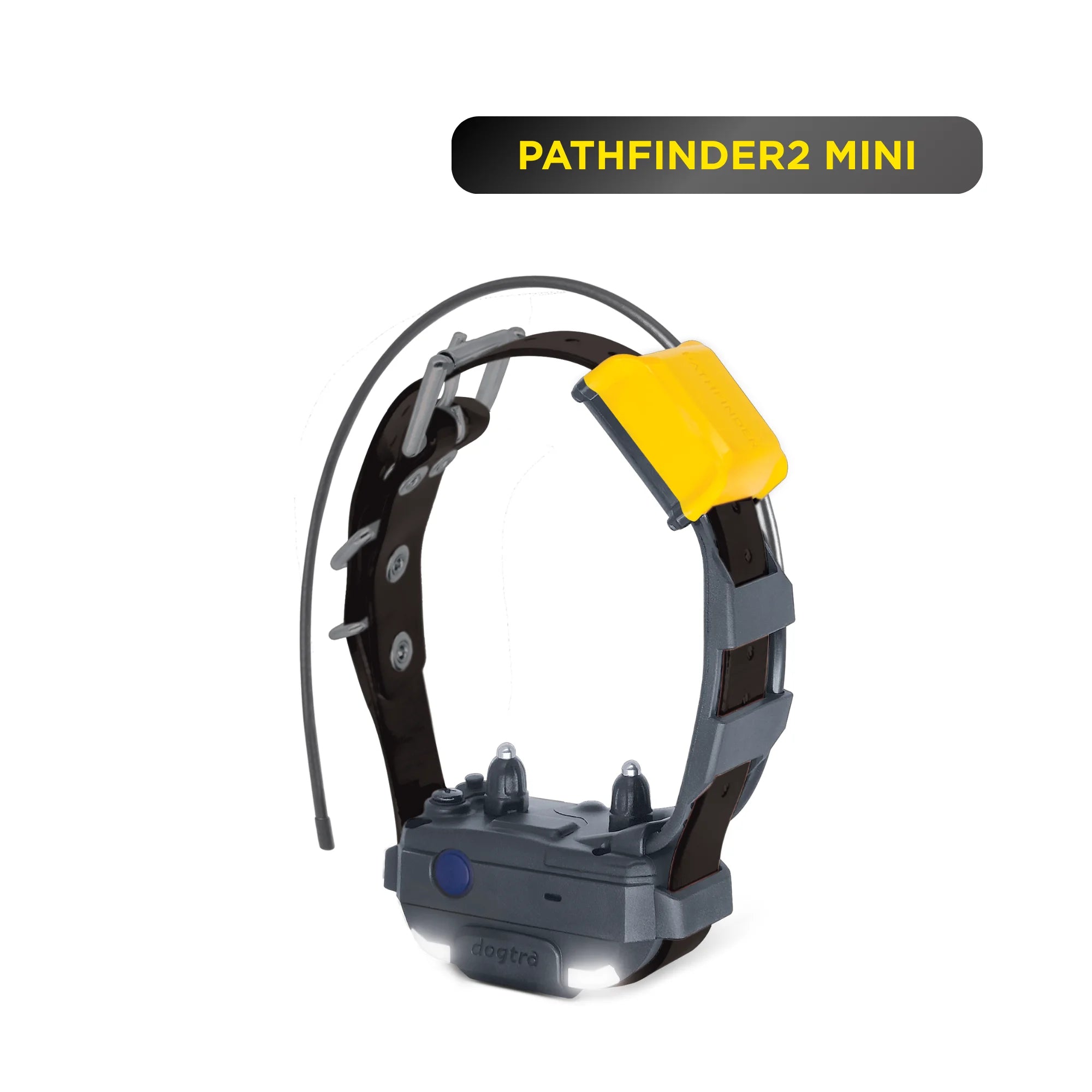 An application scenario or product detail of tracking collars - Image 10