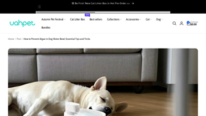 Uahpet - Stainless Steel Pet Fountains