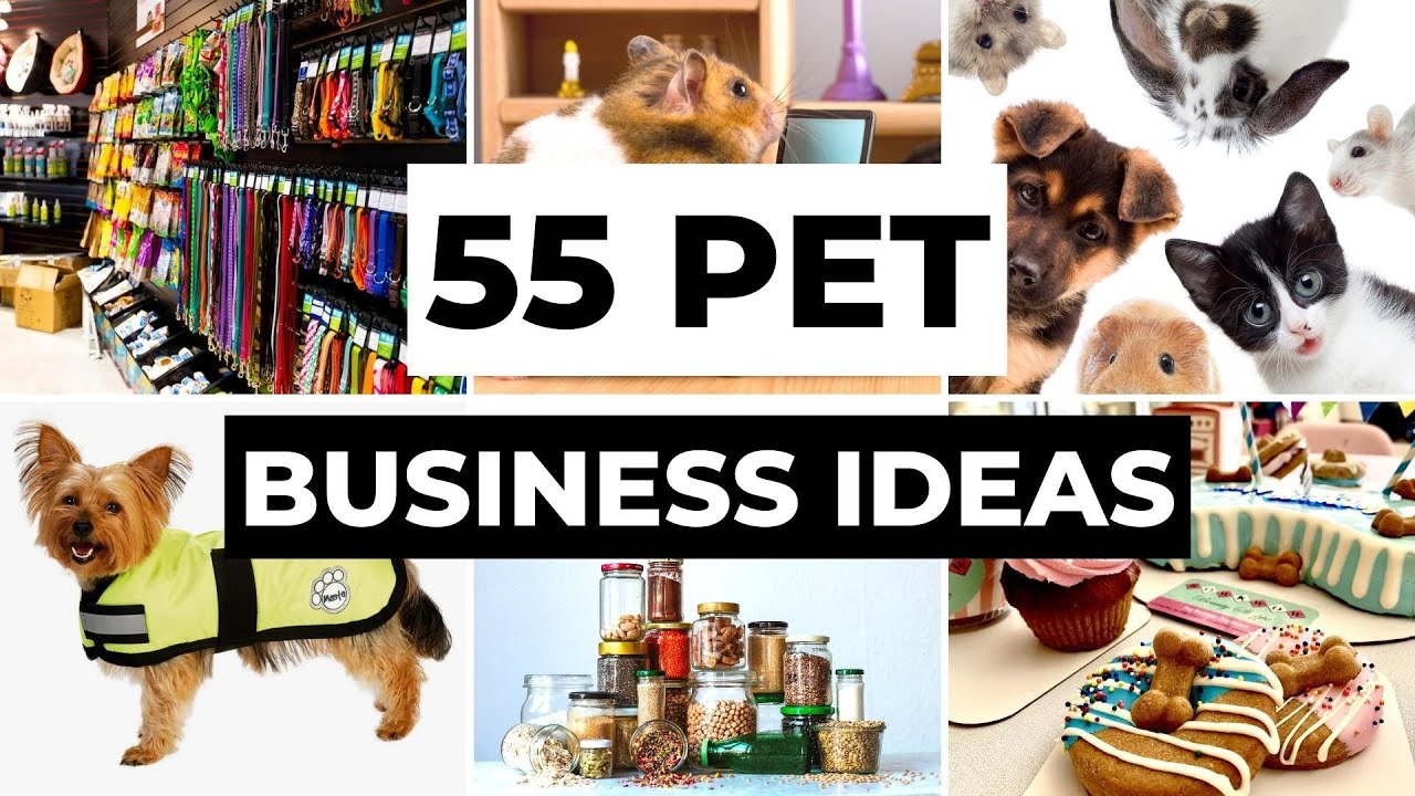 An application scenario or product detail of unique dog business ideas - Image 3