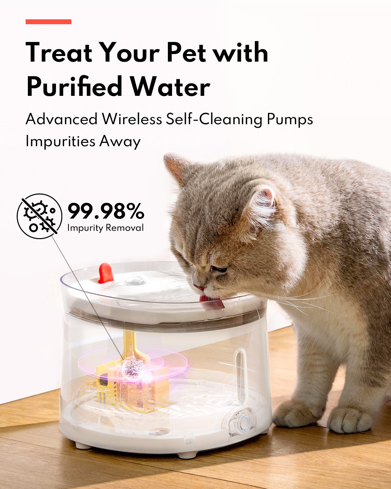 An application scenario or product detail of uv pet water fountain - Image 8
