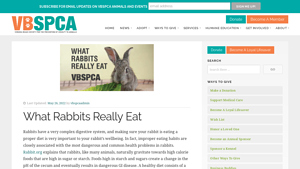 VBSPCA - Essential Rabbit Diet Guide