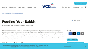 VCA Hospitals - Rabbit Nutrition Essentials