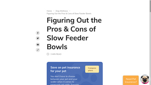 WagWalking - Slow Feeder Bowls