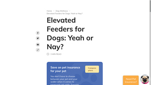 Wag Walking - Elevated Dog Feeders