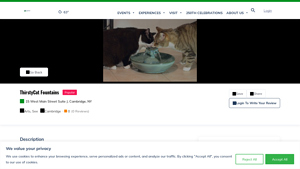 Washington County - Antimicrobial Cat Water Fountains