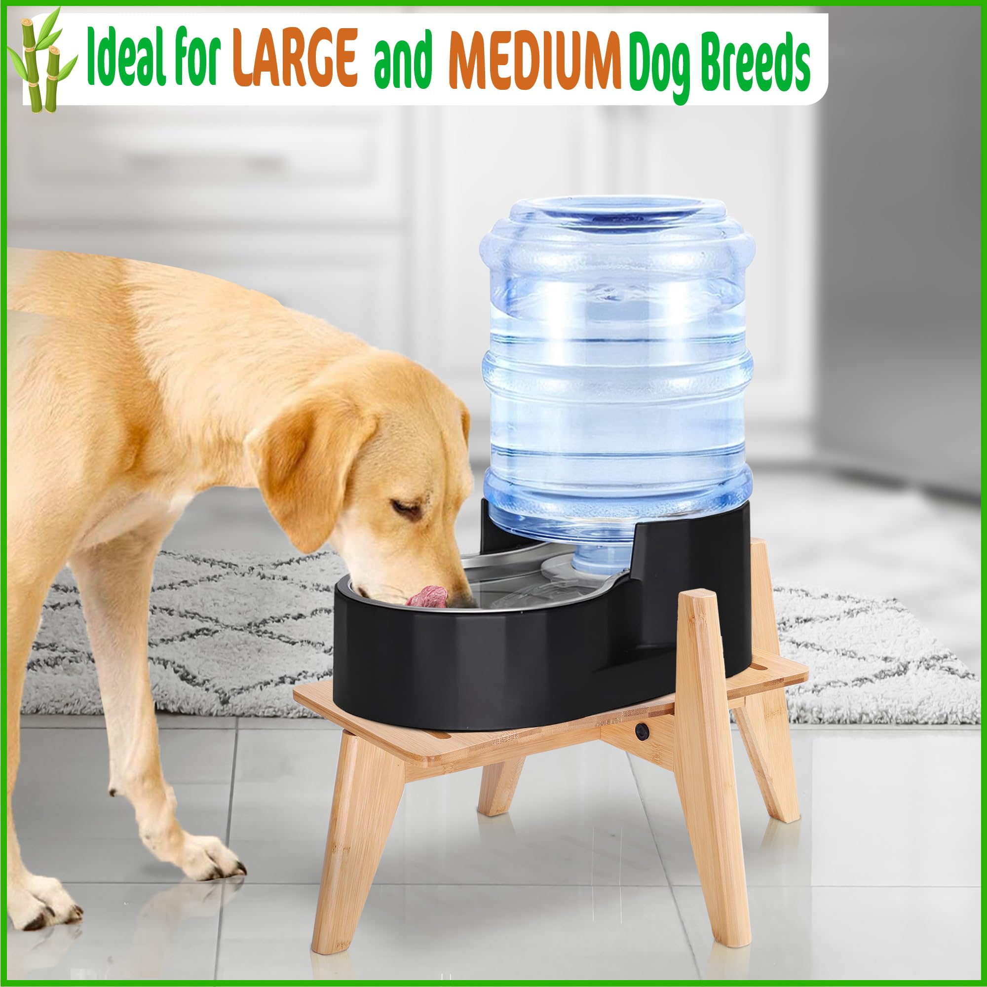 An application scenario or product detail of water and food dispenser for dogs - Image 9