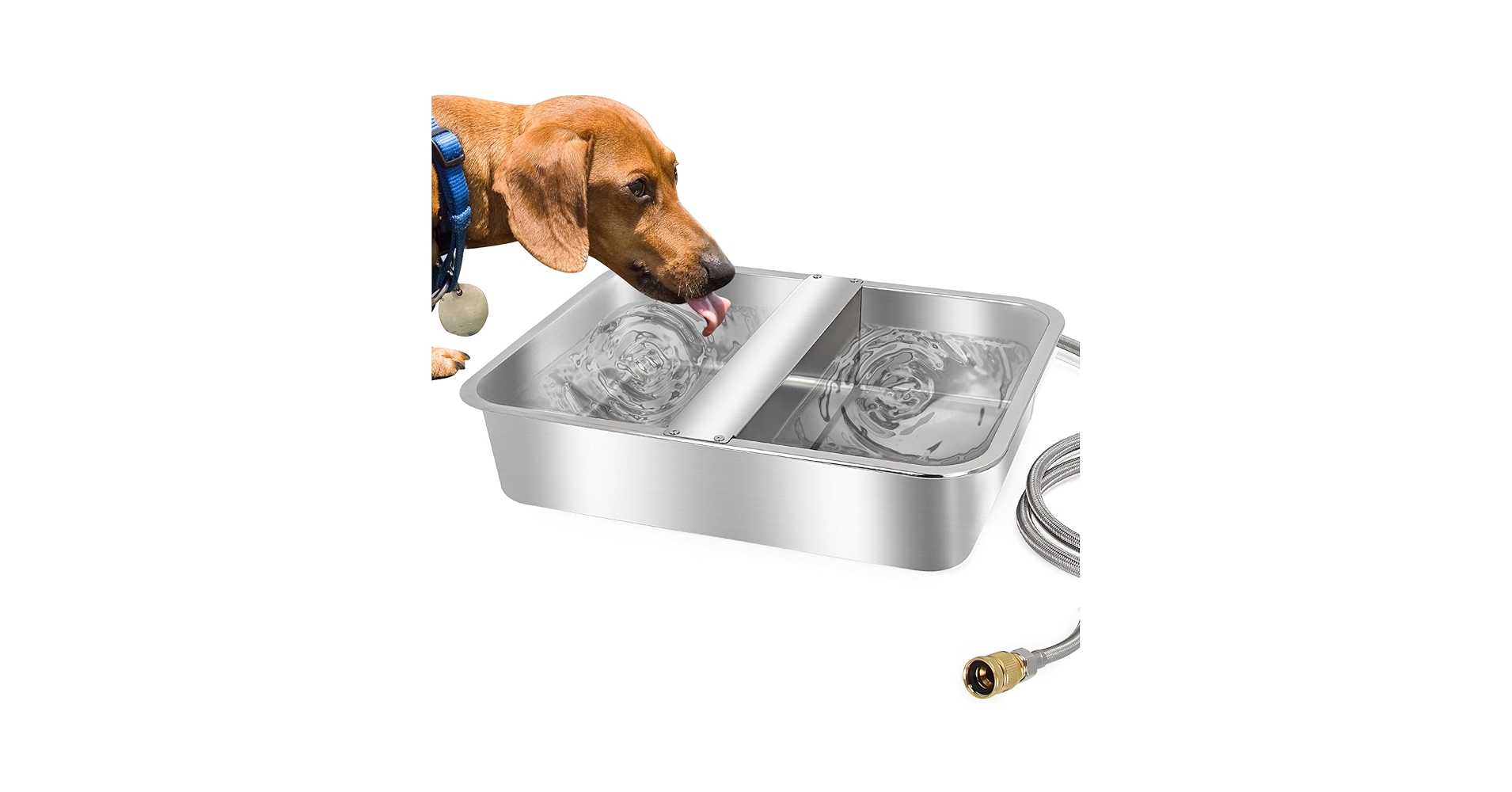 An application scenario or product detail of water and food dispenser for dogs - Image 14