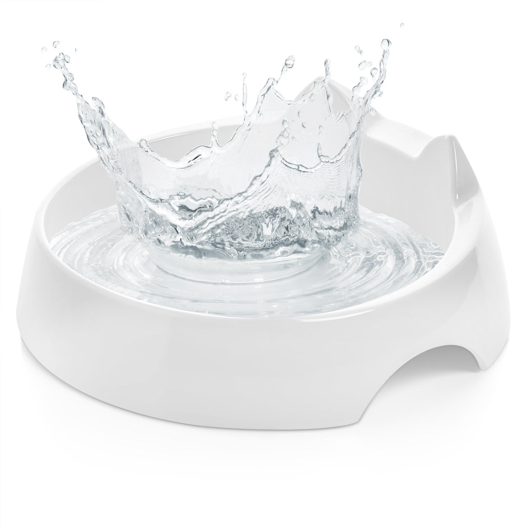 An application scenario or product detail of water bowl for cats - Image 18