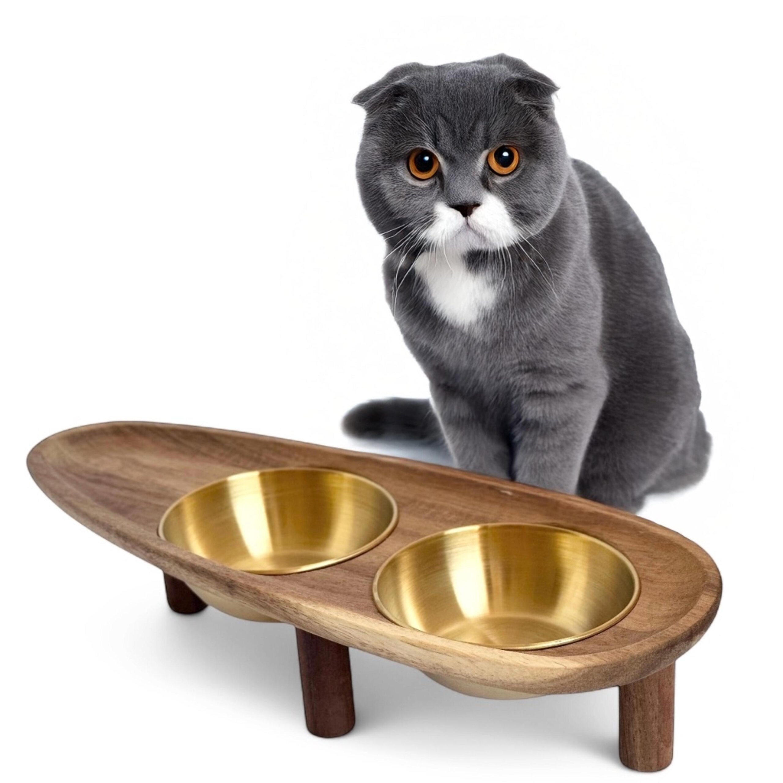 An application scenario or product detail of water bowl for cats - Image 23