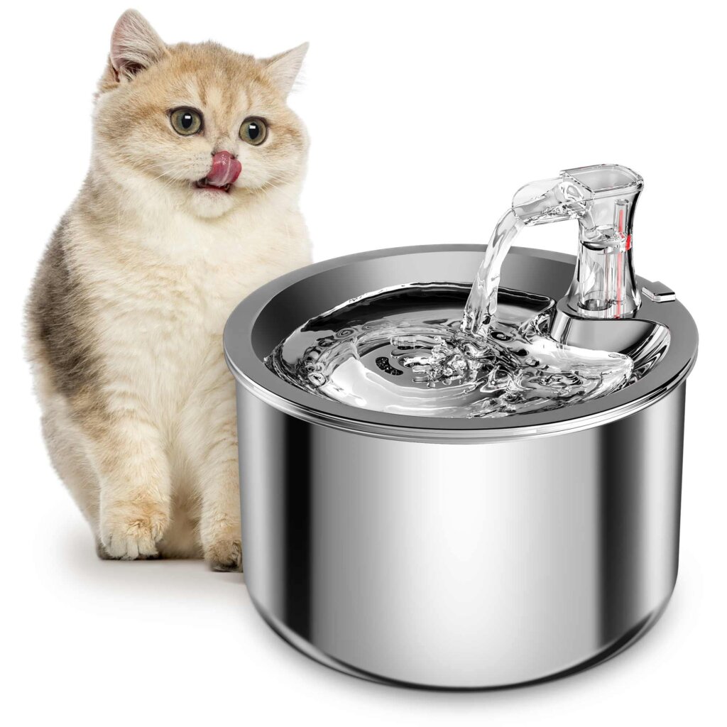 Featured image for the water bowl fountain for cats guide