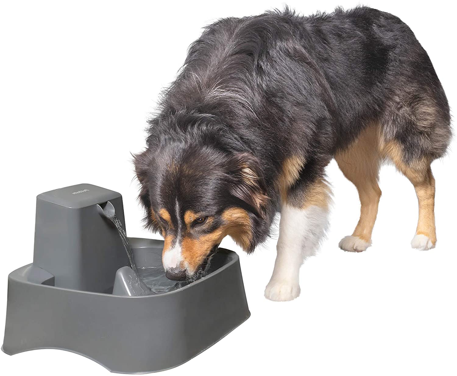 An application scenario or product detail of water bowl fountain for dogs - Image 16