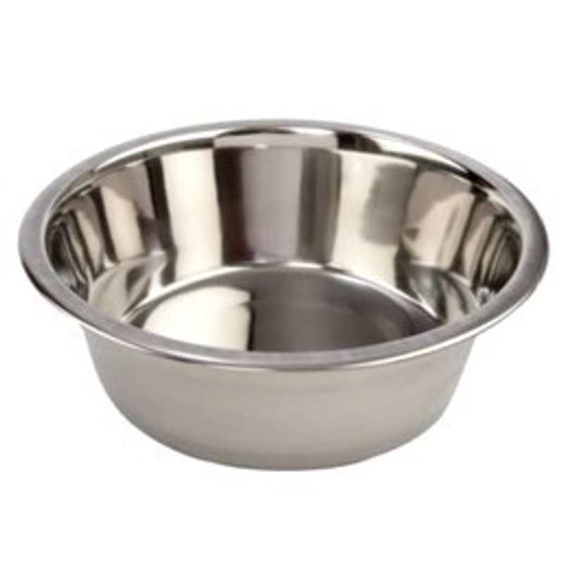 An application scenario or product detail of water bowls for cats - Image 13