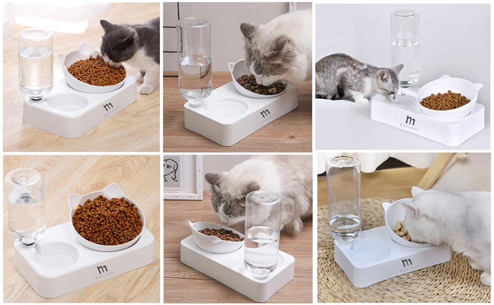 An application scenario or product detail of water bowls for cats - Image 20