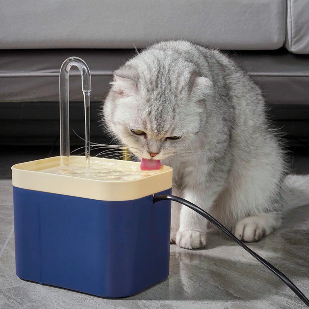 An application scenario or product detail of water bubbler for cats - Image 17