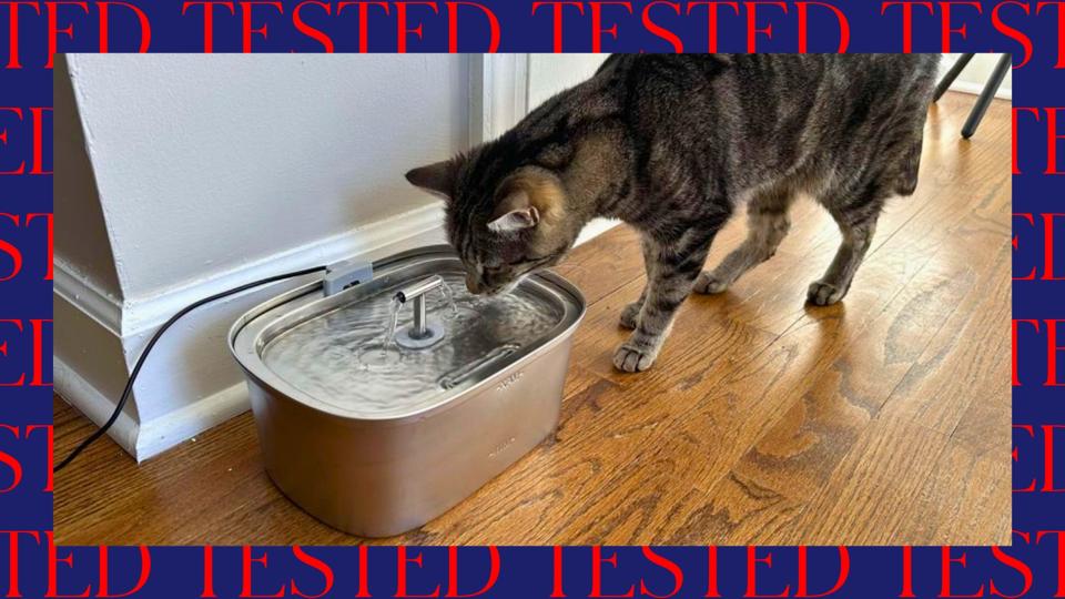 An application scenario or product detail of water container for cats - Image 13