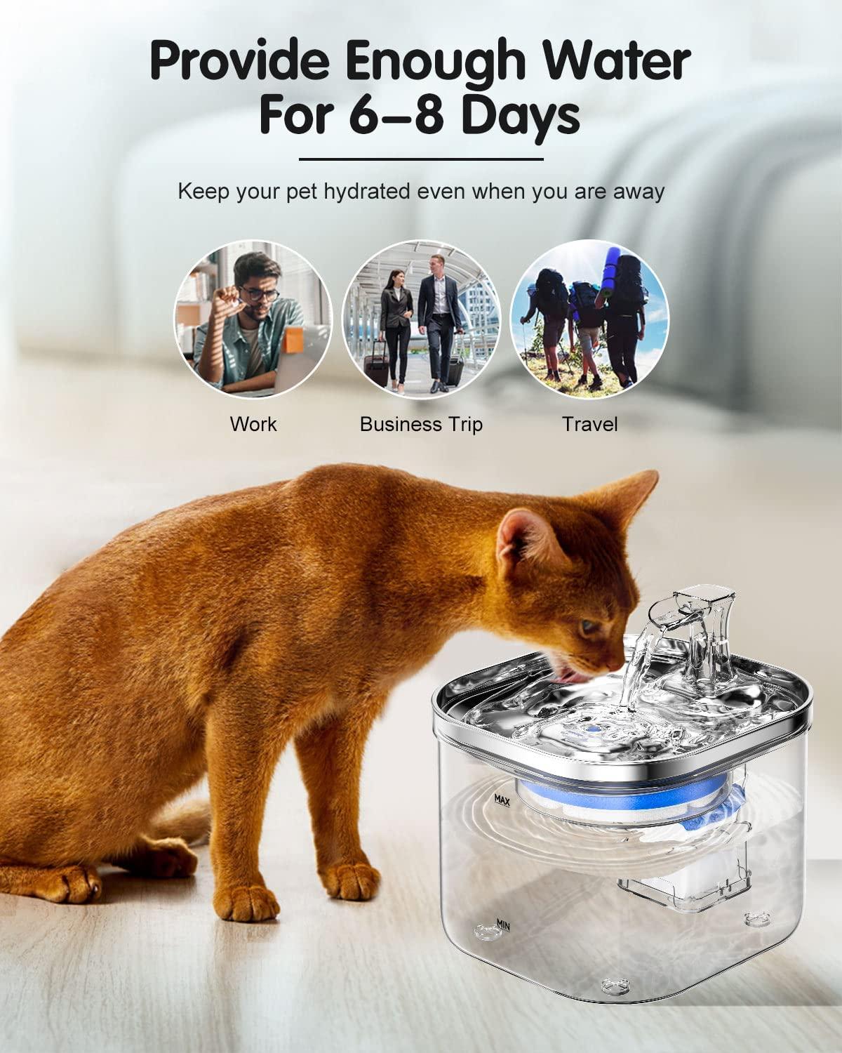 An application scenario or product detail of water container for cats - Image 17