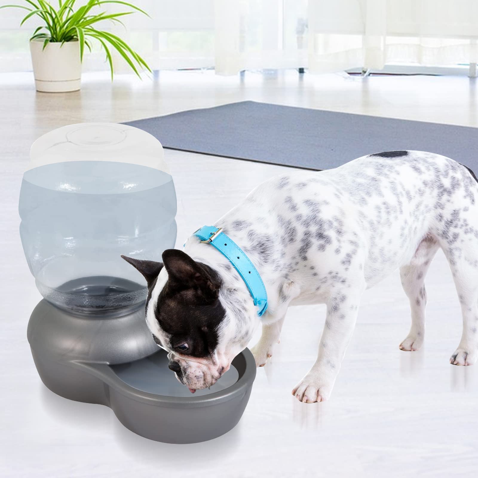 An application scenario or product detail of water filter dog bowl - Image 2