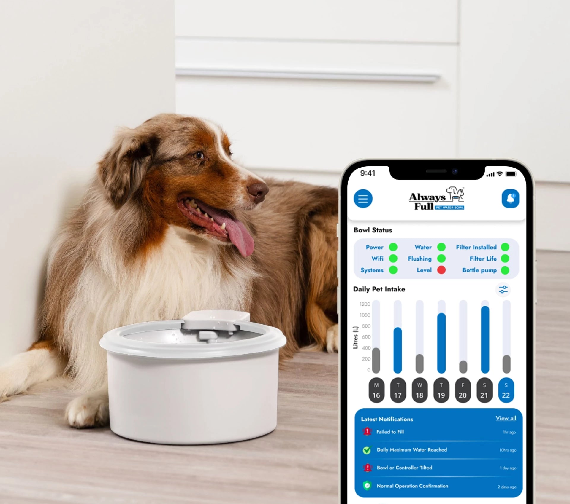 An application scenario or product detail of water filter dog bowl - Image 14