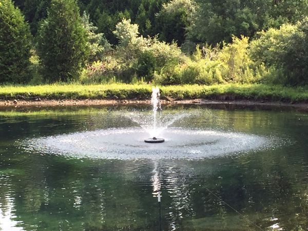 An application scenario or product detail of water fountain 2 streams - Image 16