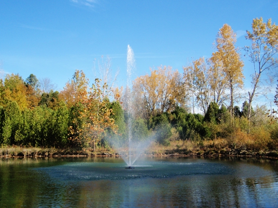 An application scenario or product detail of water fountain 2 streams - Image 24
