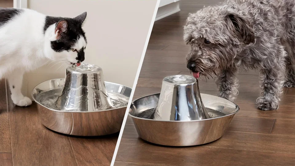 An application scenario or product detail of water fountain animals - Image 16