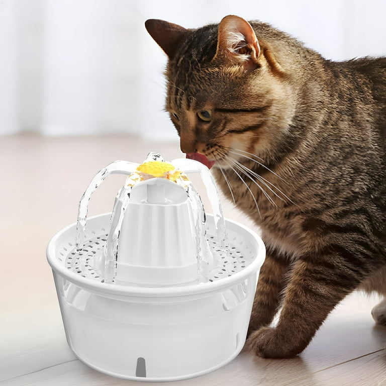 An application scenario or product detail of water fountain for cats and dogs - Image 1