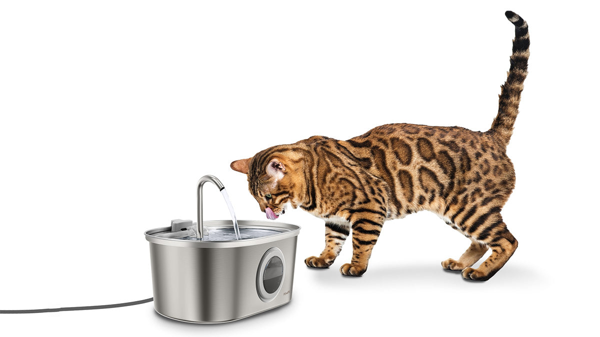 An application scenario or product detail of water fountain pet bowl - Image 15