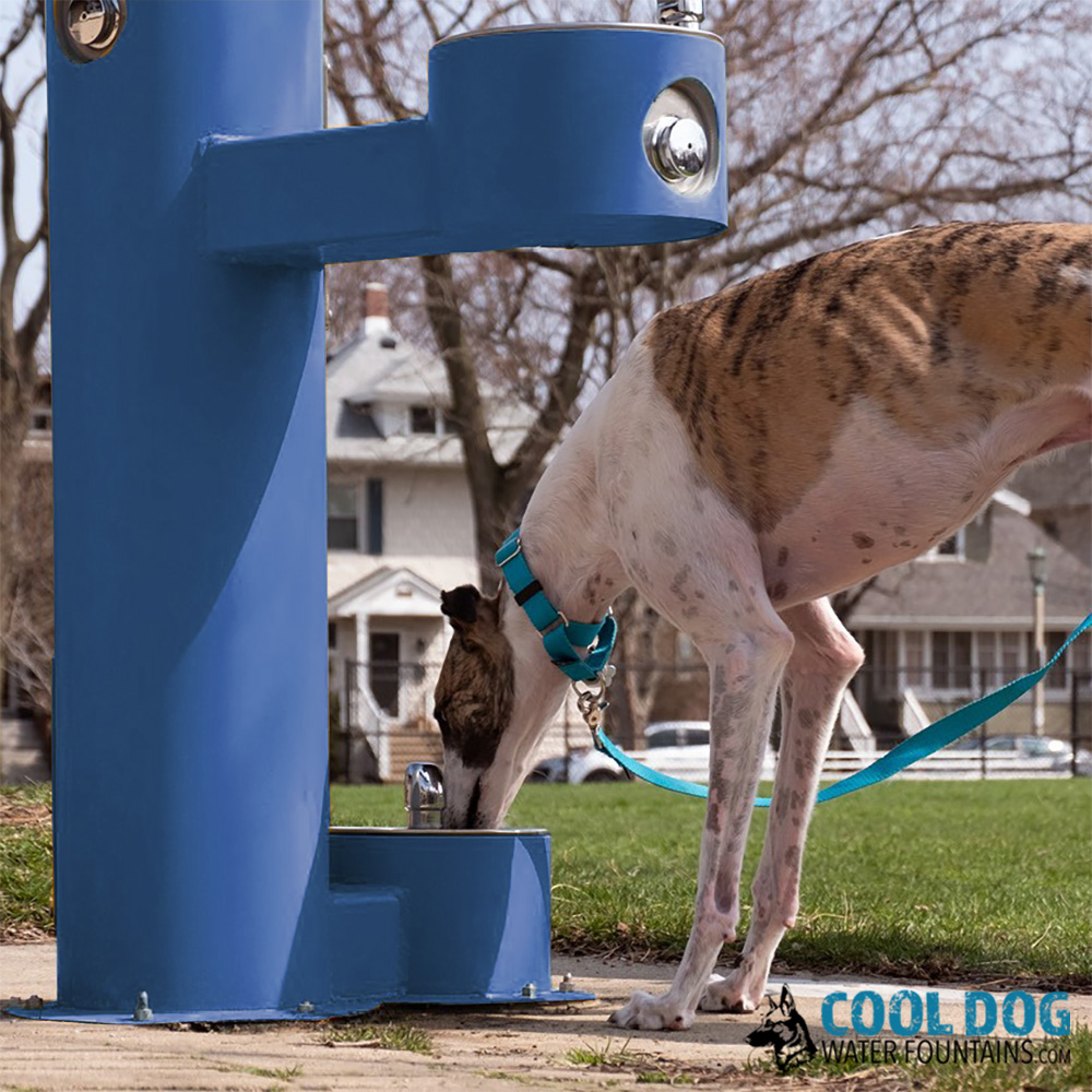 An application scenario or product detail of water fountain with dog - Image 1