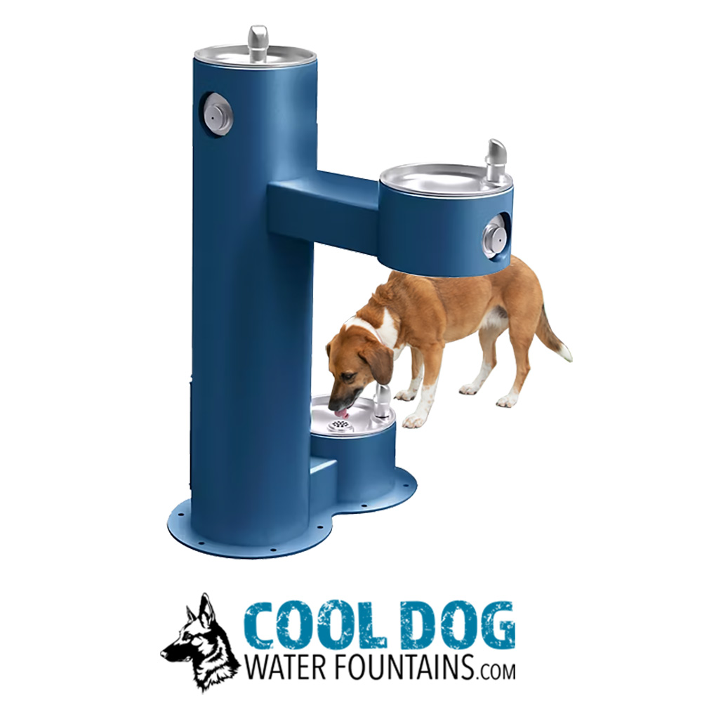 An application scenario or product detail of water fountain with dog - Image 7