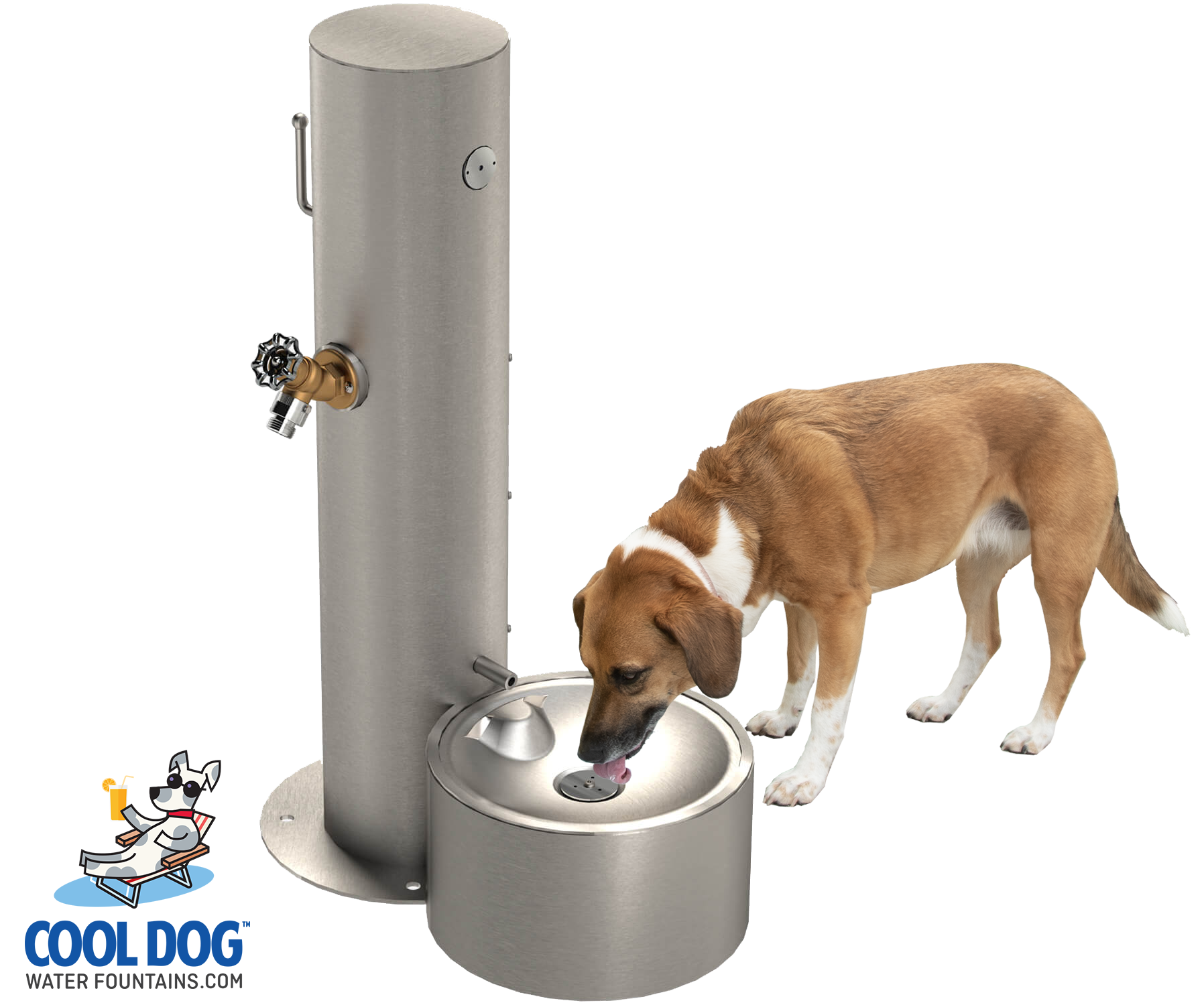 An application scenario or product detail of water fountain with dog - Image 10